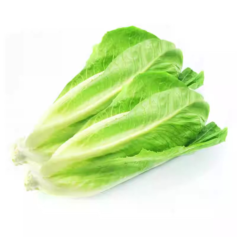 Green Lettuce thumbnail