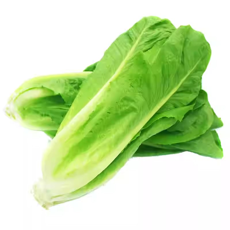 Green Lettuce image 3
