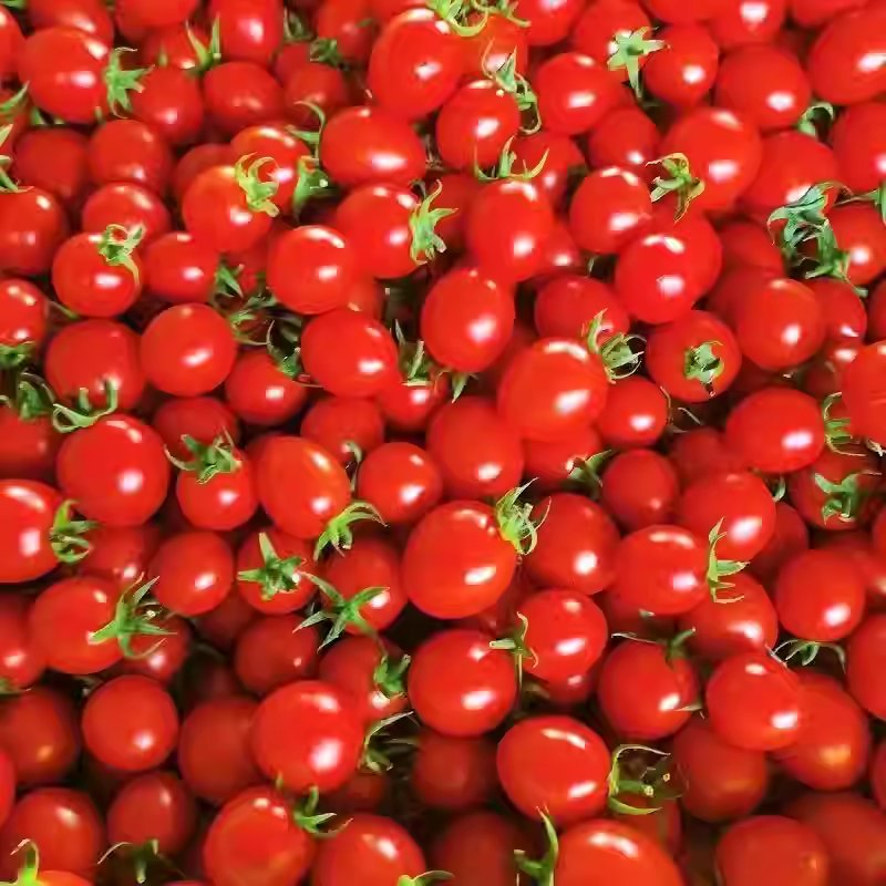 Vine Tomatoes thumbnail