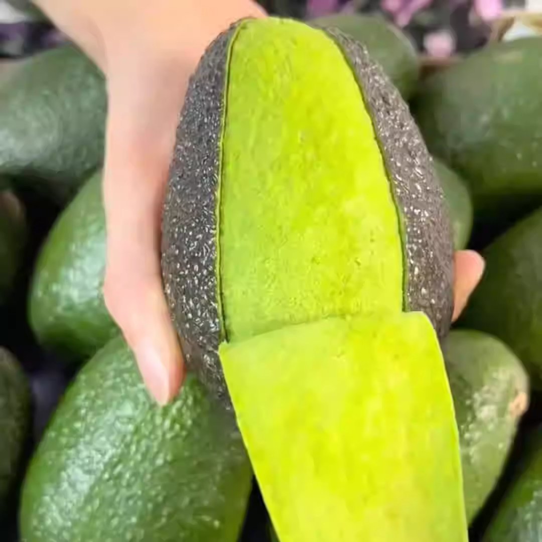 Avocado image 2